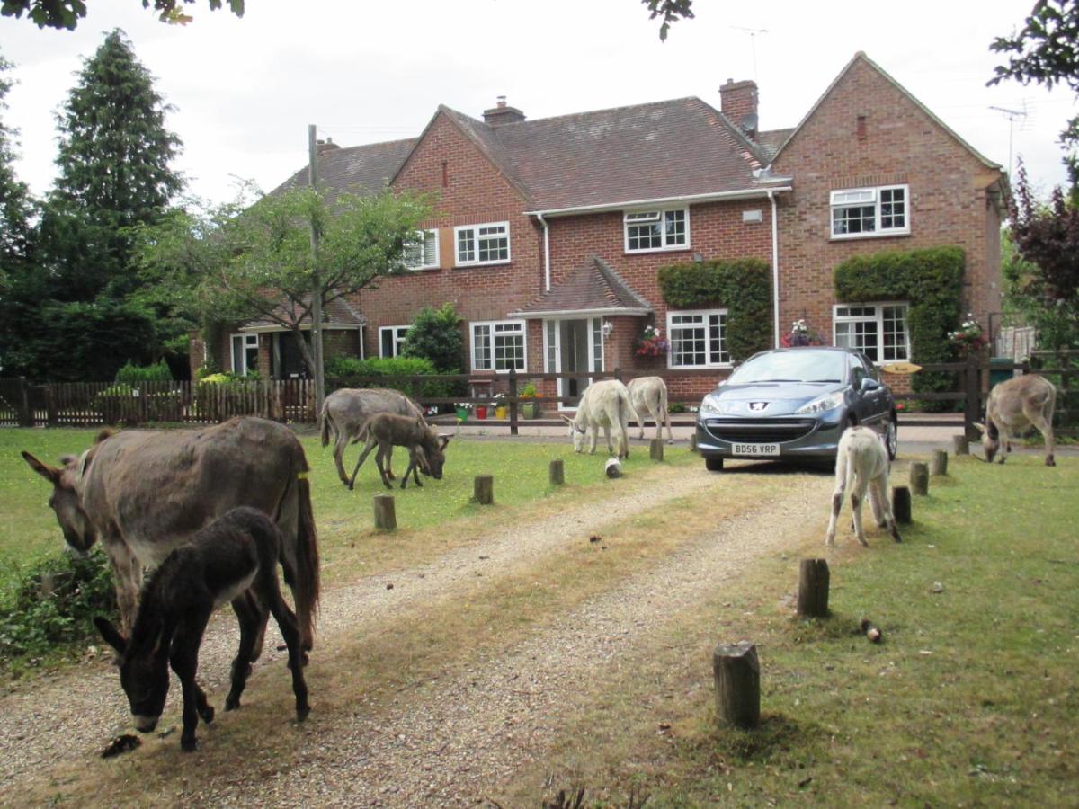 Hops Main House, Brockenhurst, New Forest Villa Exterior photo